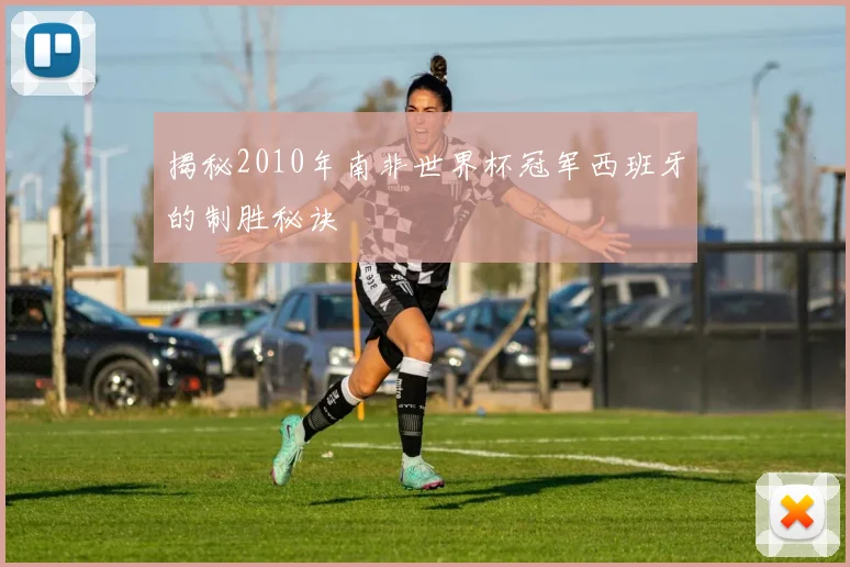 揭秘2010年南非世界杯冠军西班牙的制胜秘诀
