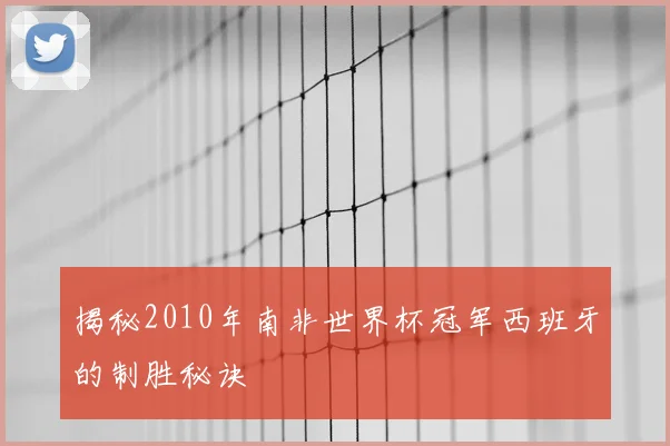 揭秘2010年南非世界杯冠军西班牙的制胜秘诀